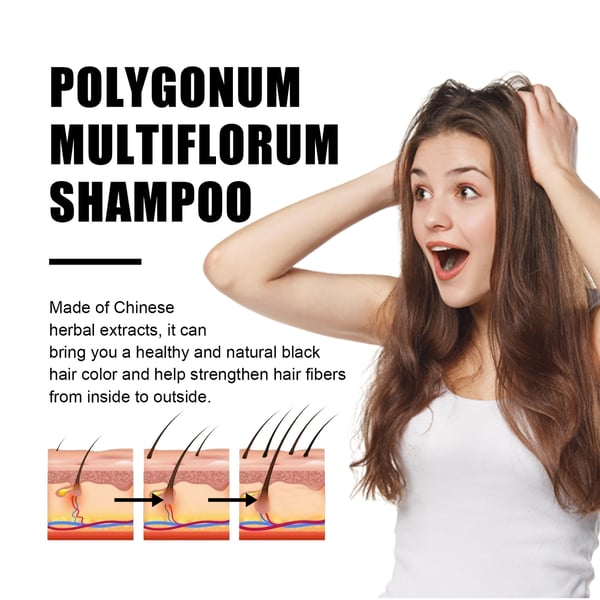 Polygonum Multiflorum Shampoo