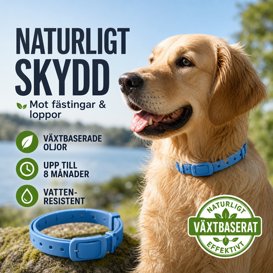 🐾 Naturligt eterisk olje-halsband – Avvisar skadedjur på husdjur | SPARA 50% idag!