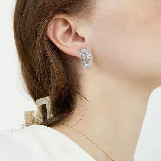 🎁Lab-Created Diamonds Hoop Earrings