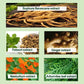 🌟HOT SALE🌟Natural Plant Hair Dye