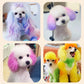 💕Non-Toxic Semi-Permanent Pet Hair Dye