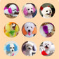 💕Non-Toxic Semi-Permanent Pet Hair Dye