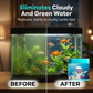 🔥 50% OFF · High-Efficiency Aquarium Water Purification Tablets ✨