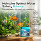 🔥 50% OFF · High-Efficiency Aquarium Water Purification Tablets ✨